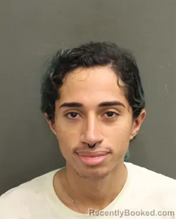Mugshot of DAVID ROSARIO