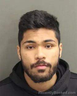 Mugshot of LUIS LUZARDOFUENTES