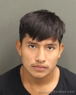 Mugshot of JOSE DAVID RUIZRAMOS