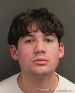 Mugshot of DANIEL ENRIQUE SANCHEZROSARIO