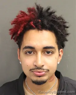 Mugshot of AARON JOHNSON