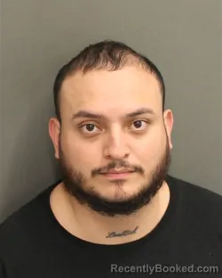 Mugshot of JOHAN SEBASTIAN ALVAREZALDANA