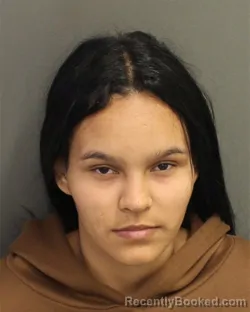 Mugshot of XIOLIMAR WILMARY GAMEZAMARO