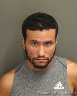 Mugshot of LUIS JR MONTAS