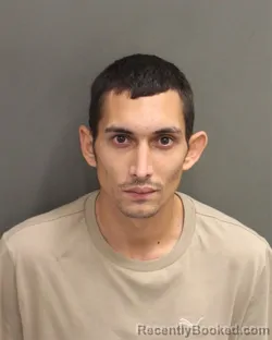 Mugshot of CRISTIAN JULIO DELAVEGAALFARO