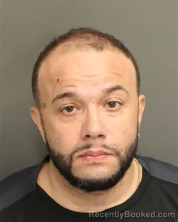 Mugshot of JOEL ROSARIO