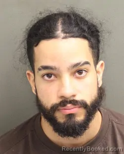 Mugshot of RYAN DEJESUS PENA
