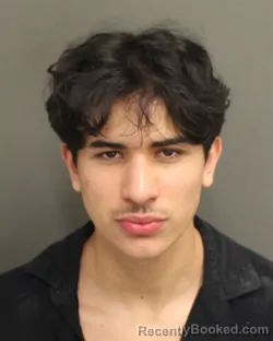 Mugshot of HENRY ALEXIUS VELA