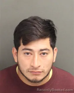 Mugshot of DILMAR VEMIN FUENTESGUZMAN