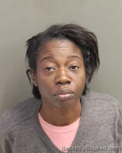 Mugshot of STEPHNINE JEAN MITCHELL