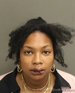 Mugshot of CYNTHIA MARIE LEWIS