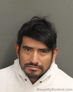 Mugshot of ROMEO RAMIREZDOMINGO