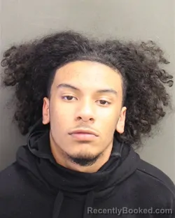 Mugshot of JOSEPH LUNA