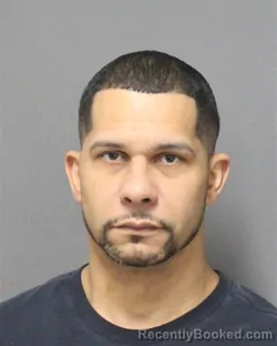 Mugshot of ALBERTO GEOVANNIE PAGANRIOS