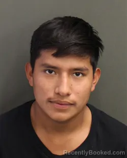 Mugshot of JOSE DAVID RUIZRAMOS