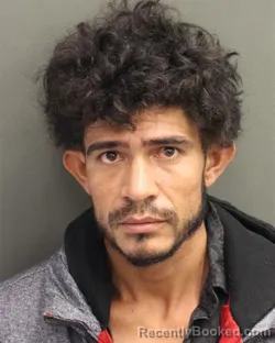 Mugshot of WALTER OBEL ORELLANAMACHADO