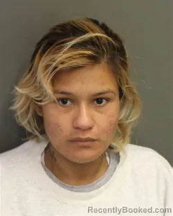 Mugshot of SINDY WALESKA AVILABONILLA