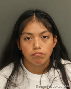 Mugshot of DEYSI MORALESHERNANDEZ