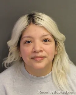 Mugshot of REBECA MICHELL BARCOESPINOZA