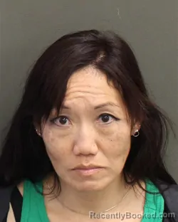 Mugshot of JULIE HOMAN