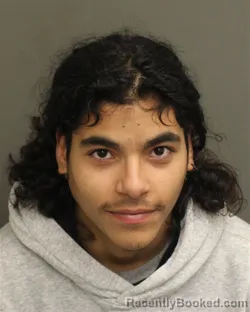 Mugshot of ORLY YARIEL CAMISROSARIO