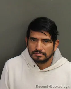 Mugshot of ROMEO RAMIREZDOMINGO