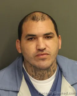 Mugshot of JUAN DANIEL COLON