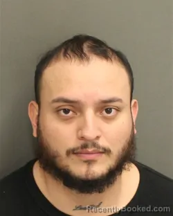Mugshot of JOHAN S ALVAREZALDANA