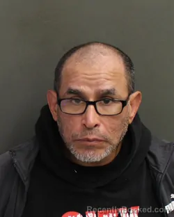 Mugshot of DOMINGO GARZA