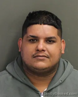 Mugshot of JOSE GUERREROMEDINA