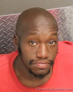 Mugshot of ROBERT D HINES