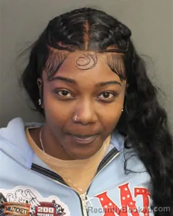 Mugshot of BRIANA VICTORIA LEEKS