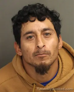 Mugshot of JOSE ALFONSO NUNEZCASAS