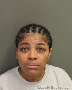 Mugshot of YAMILA MENDINUETAMORALES