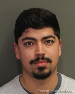 Mugshot of ANYERSON DE JESUS SULBARANSANCHEZ