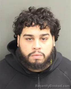 Mugshot of DELVIS TAVERA