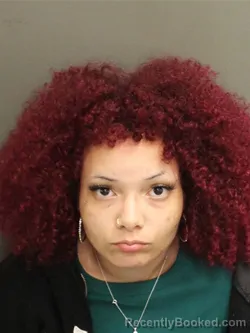 Mugshot of SHANTEL ROSE DONSON