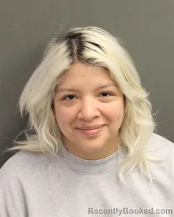 Mugshot of REBECA MICHELL BARCOESPINOZA