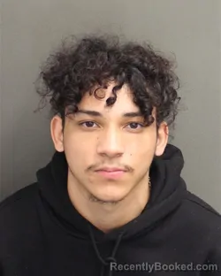 Mugshot of JUAN ANTONIO LOZADARIVERA