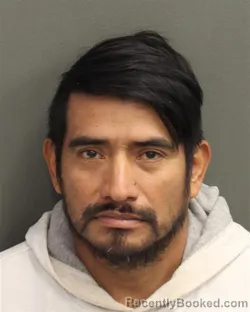 Mugshot of ROMEO RAMIREZDOMINGO