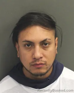 Mugshot of MARVIN ALEJANDRO HERNANDEZVARGAS