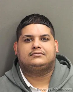 Mugshot of JOSE GREGORIO GUERREROMEDINA