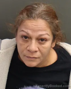 Mugshot of YISETTE DEJESUSRIVERA