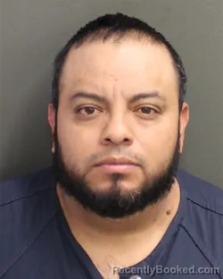 Mugshot of LUIS FERNANDEZ FERNANDEZARELLANO