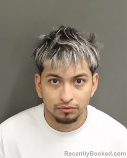 Mugshot of LUIS FERNANDO ALARCONLEAL