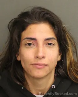 Mugshot of MITZI HORN