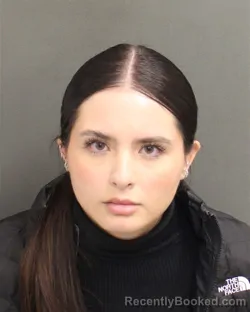 Mugshot of LAURA ALONSO SILVA