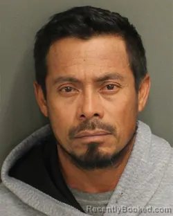 Mugshot of JAVIER OLVERACASTANON