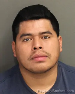 Mugshot of MAYNOR CAALCOC