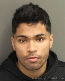 Mugshot of LUIS LUZARDOFUENTES